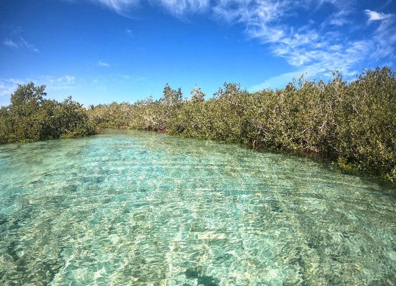 Hotel Mangrove Bay Resort, Ägypten, El Quseir. Großes 77