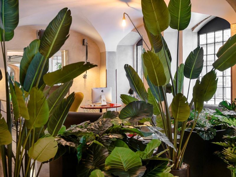 Hotel Browns Downtown Hotel, Portugal, Lissabon. Großes 24