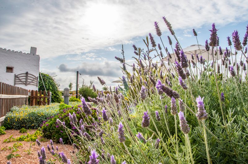 Hotel Agroturismo Son Juaneda, Spanien, Ciutadella de Menorca. Großes 33