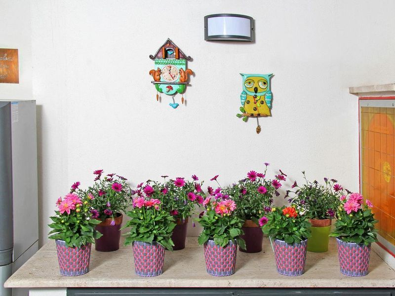 Hotel Hotel Arcangelo, Italien, Rom. Großes 2