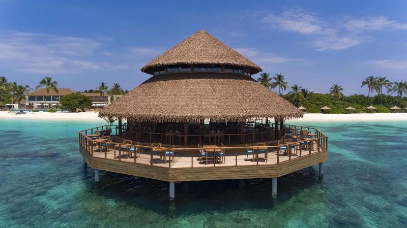Hotel Reethi Faru, Bio Luxury Resort, Malediven, Filaidhoo. Großes 112