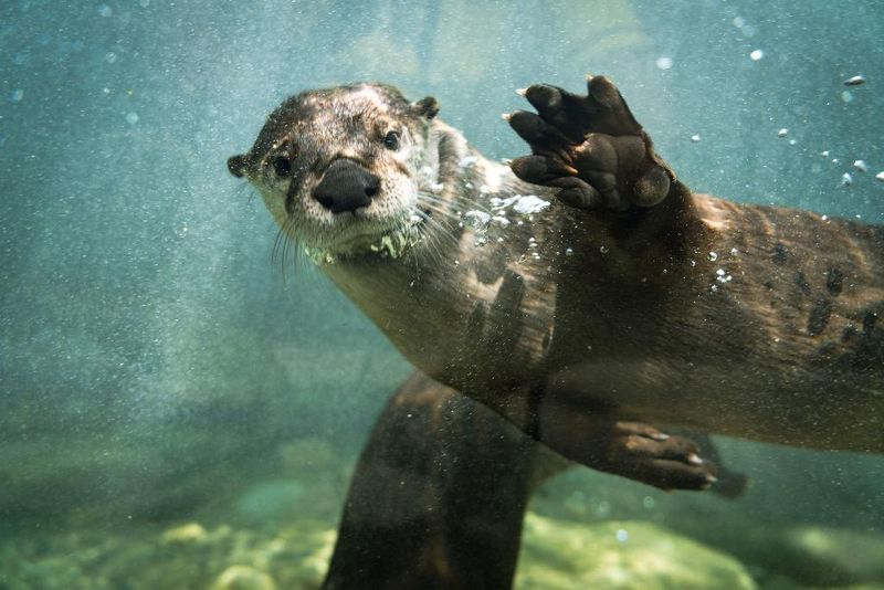 Hotel Holiday Inn Express & Suites Calgary NW University, Kanada, Calgary. Großes 2