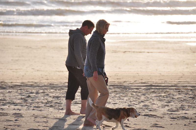 Hotel Fletcher Hotel Jan van Scorel, Niederlande, Schoorl. Großes 19