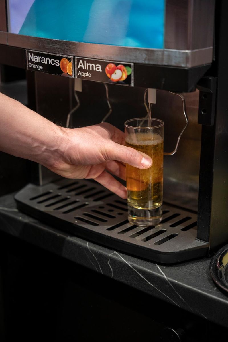 Hotel Hotel Mika Downtown, Ungarn, Budapest. Großes 1