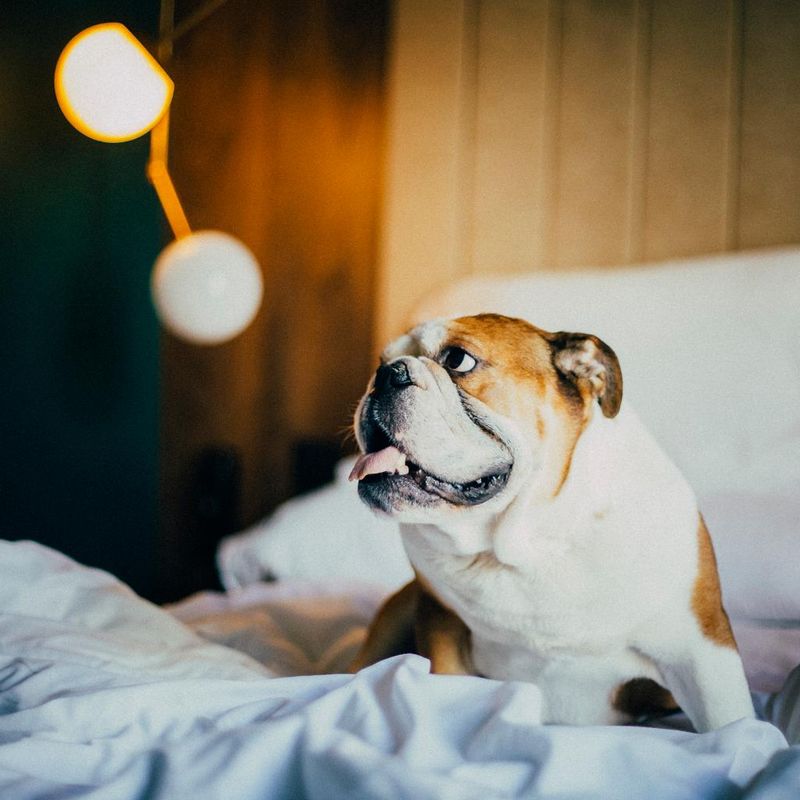 Hotel ICON Rosetó, Spanien, Palma de Mallorca. Großes 22