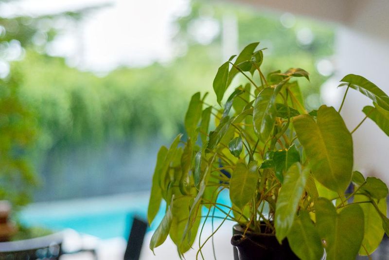 Hotel Lemonade Phuket Hotel , Thailand, Chalong. Großes 2