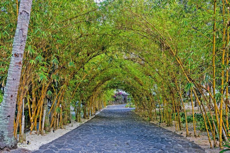 Hotel Seasense Boutique Hotel & Spa, Mauritius, Palmar. Großes 58