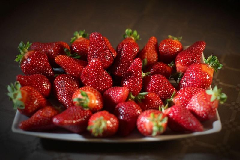 Hotel Porta Delle Botteghelle, Italien, Trapani. Großes 2