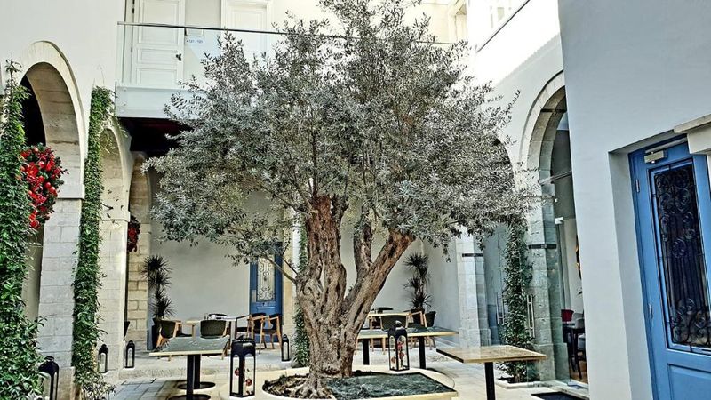 Hotel S Paul Hotel, Zypern, Limassol. Großes 2