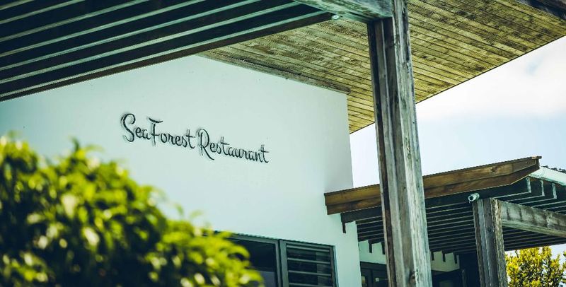 Hotel Chalets Chamarel, Mauritius, Chamarel. Großes 22