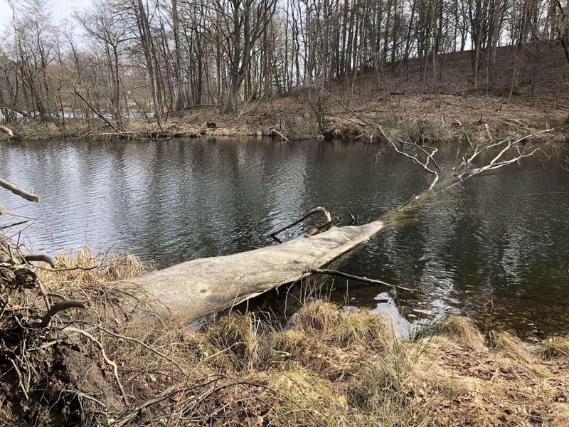 Hotel Riverside Inn, Deutschland, Oderberg. Großes 2
