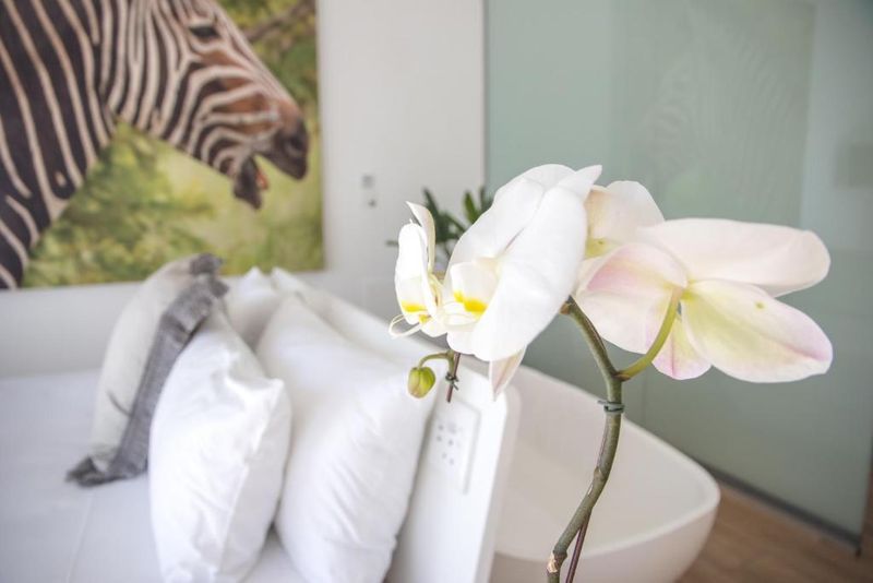 Hotel theLAB Franschhoek, Südafrika, Franschhoek. Großes 33