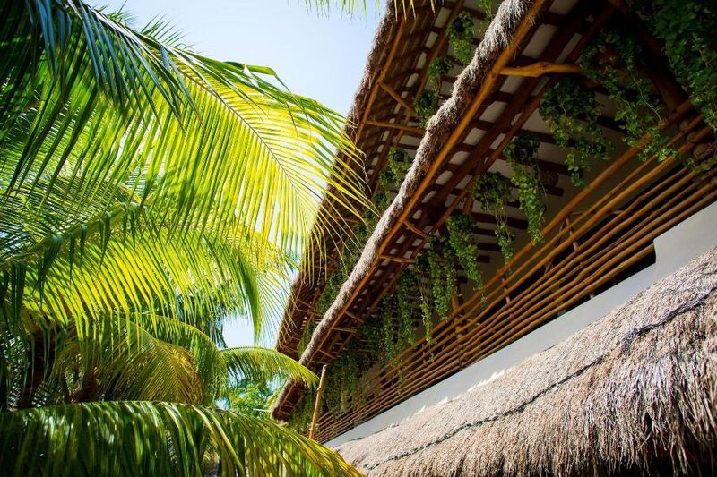 Hotel La Palma Holbox, Mexiko, Isla Holbox. Großes 59
