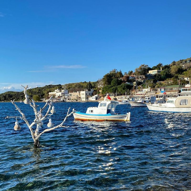 Hotel Liman Hotel Gümüslük, Türkei, Bodrum. Großes 49