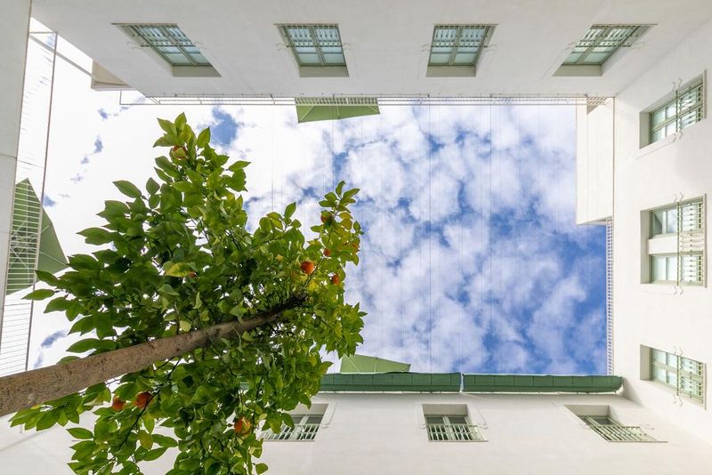 Hotel Holiday Rentals Los Salados, Spanien, Sevilla. Großes 16