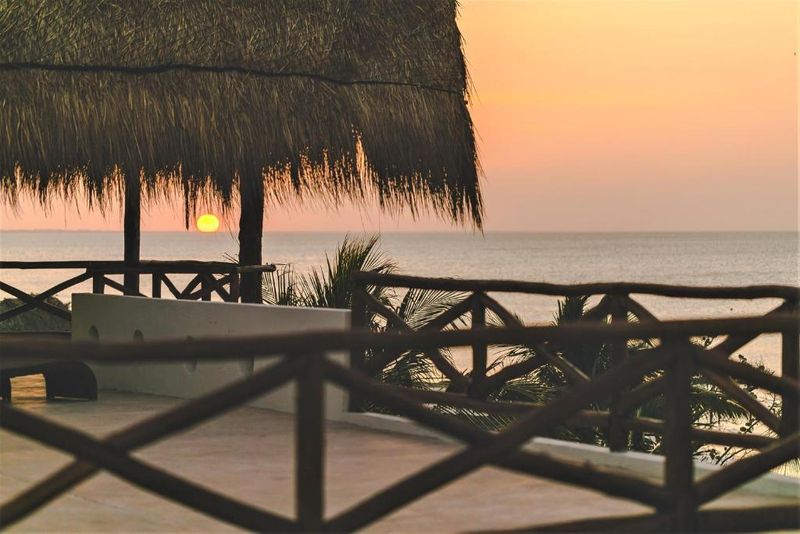 Hotel La Puerta Azul Beachfront - Adults Only, Mexiko, Isla Holbox. Großes 29