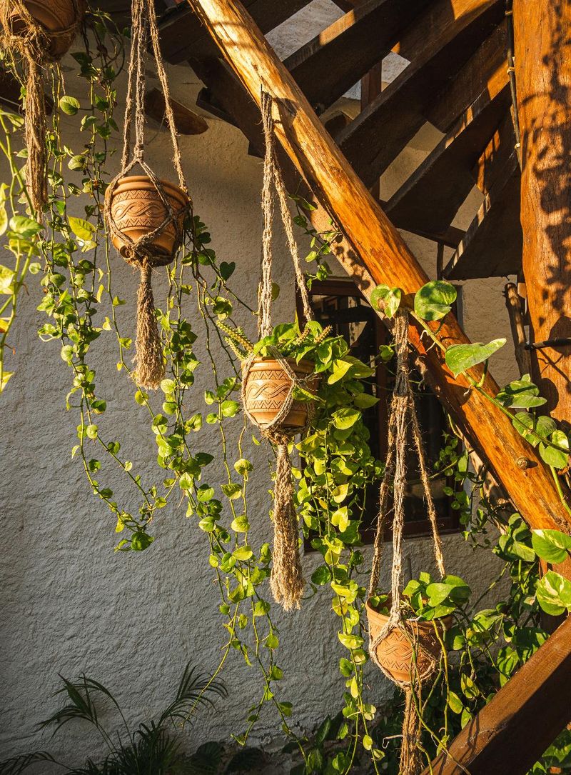 Hotel Arte Sano Hotel & Spa - Only Adults, Mexiko, Isla Holbox. Großes 2