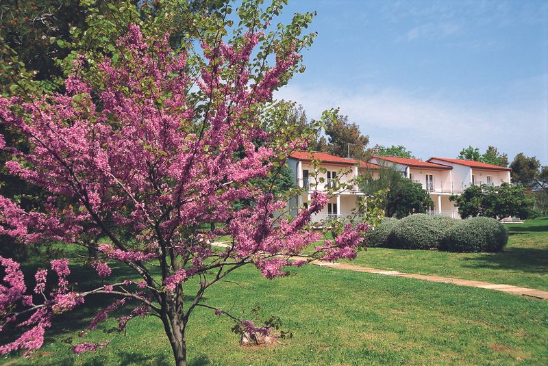 Hotel Ai Pini Medulin Resort, Kroatien, Medulin. Großes 1