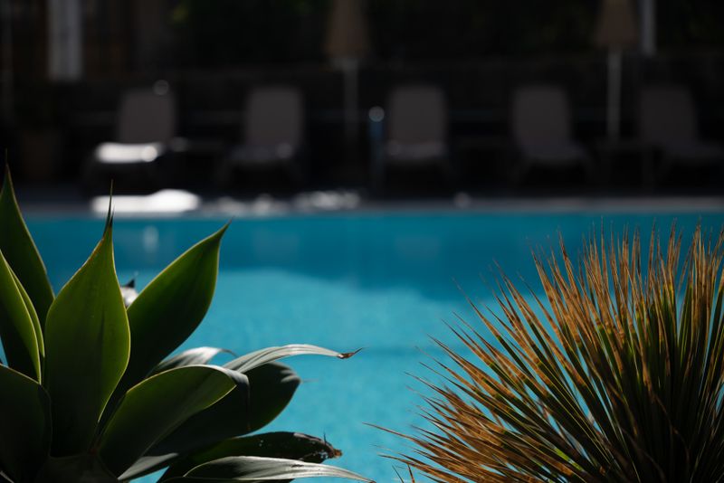 Hotel El Palmar - .., Spanien, Playa del Ingles. Großes 23