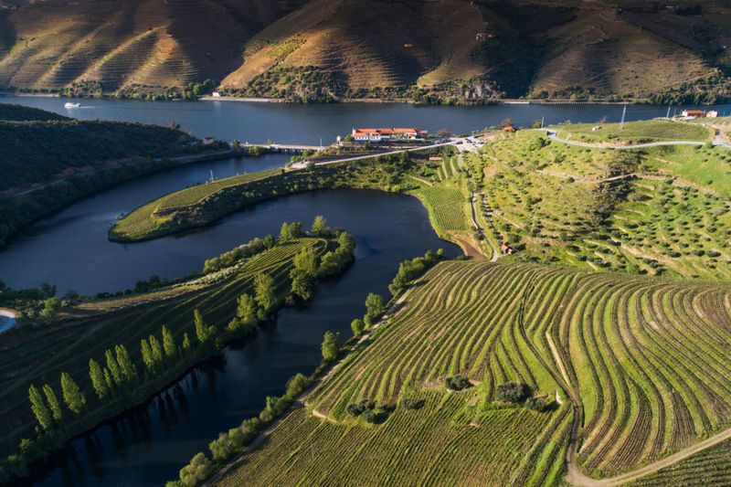 Hotel Vila Gale Douro Vineyards, Portugal, Armamar. Großes 2