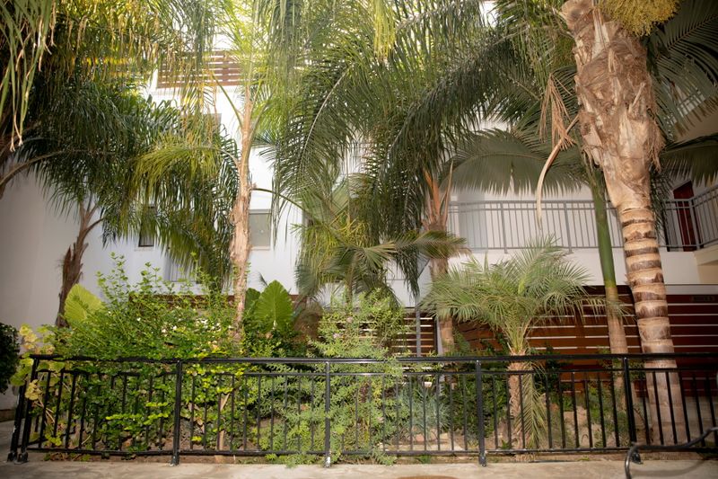 Hotel Alecos Hotel Apartments, Zypern, Paphos. Großes 1