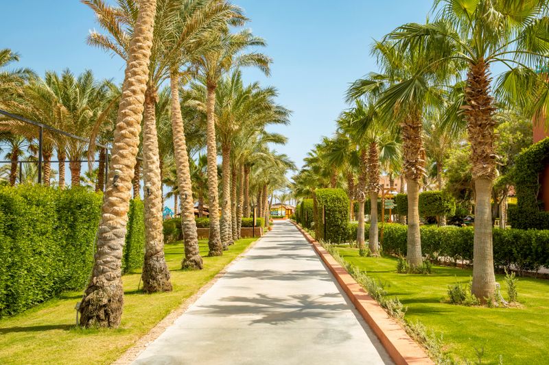 Hotel TUI MAGIC LIFE Redsina Sharm El Sheikh, Ägypten, Nabq. Großes 1