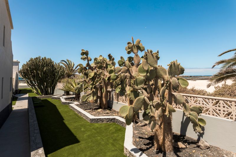 Hotel Cotillo Sunset, Spanien, El Cotillo. Großes 10