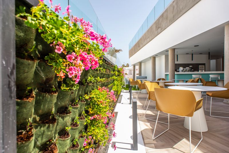 Hotel Hotel Taimar, Spanien, Costa Calma. Großes 13