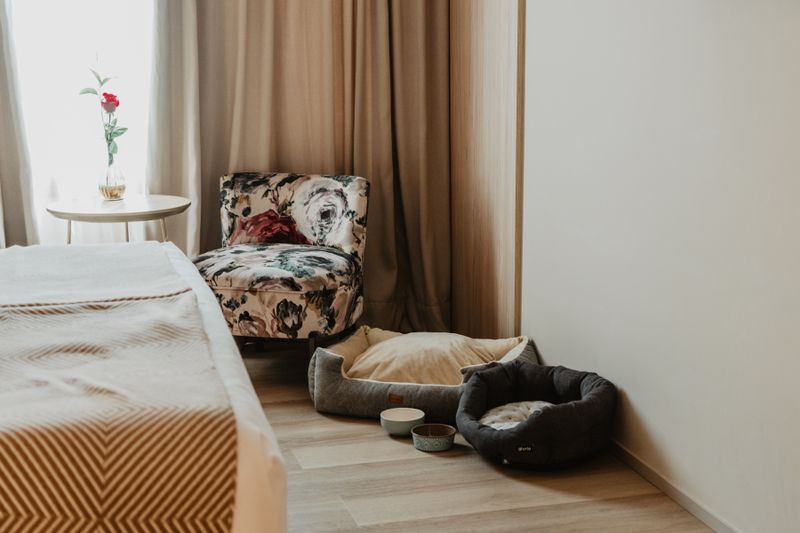 Hotel Nivia Born Boutique Hotel, Spanien, Palma de Mallorca. Großes 23