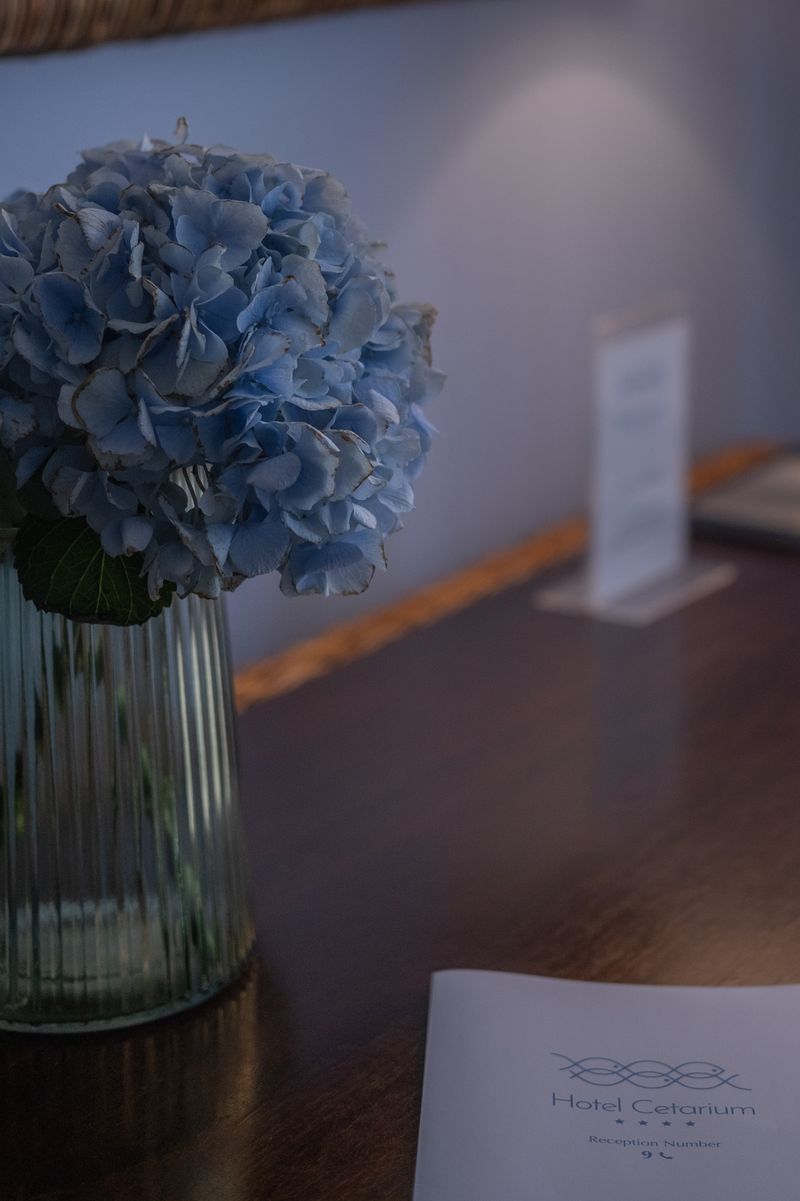 Hotel Hotel Cetarium, Italien, Castellammare del Golfo. Großes 2