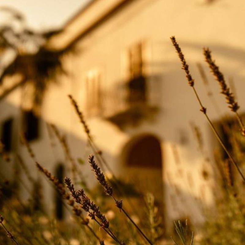 Hotel Villa Favorita Hotel & Events, Italien, Marsala. Großes 1