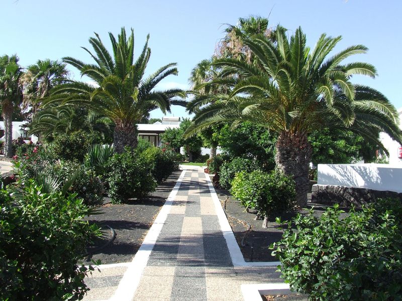 Hotel Playa Limones, Spanien, Playa Blanca. Großes 10