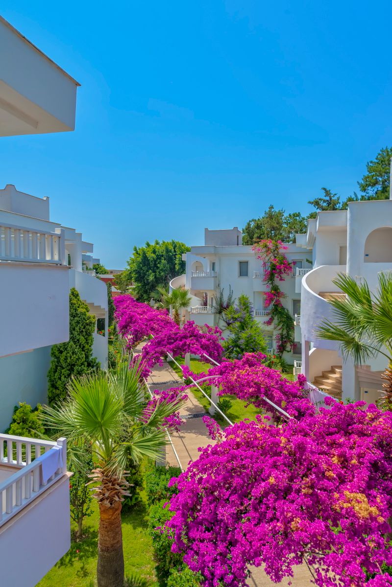 Hotel Bendis Beach Hotel, Türkei, Turgutreis. Großes 2