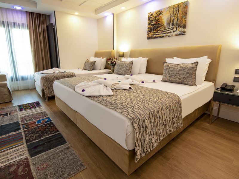 Hotel Antusa Design Hotel, Türkei, Istanbul. Großes 11